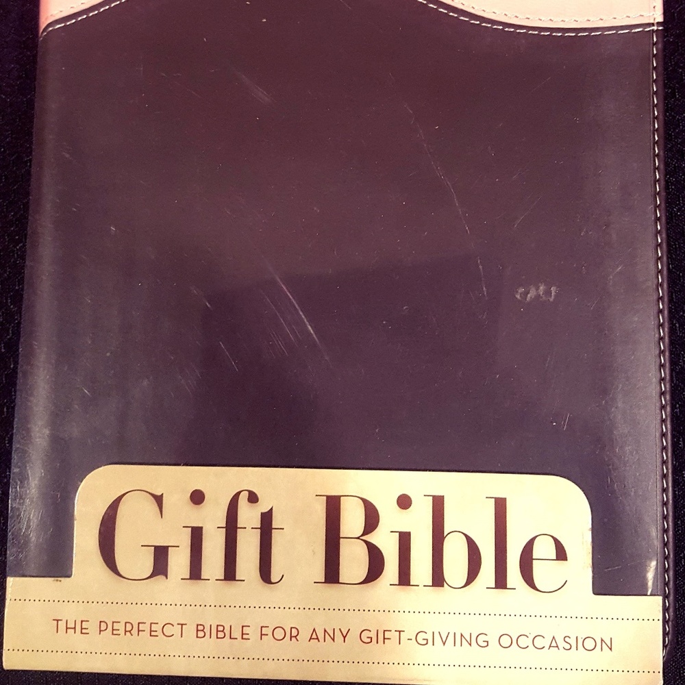 Bible:  New International Version